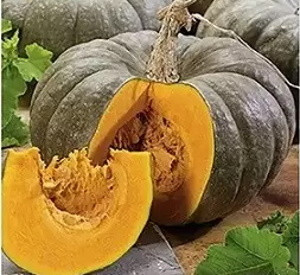 Тыква крупноплодная Добрая Фея, 5гр (фасовка)