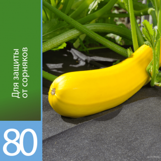 Агроволокно Агротекс Черный 80, (1,6м х 200м)