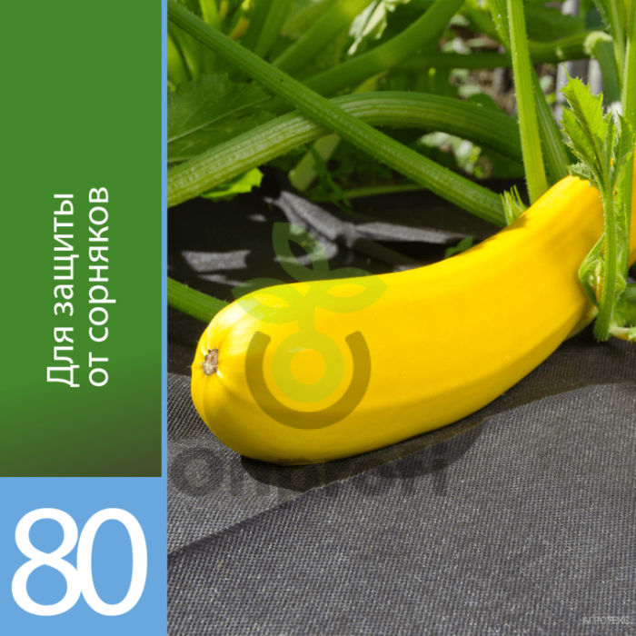 Агроволокно Агротекс Черный 80, (1,6м х 200м)
