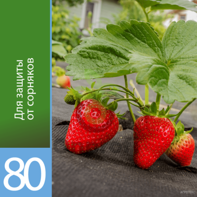 Агроволокно Агротекс Черный 80, (1,6м х 200м)