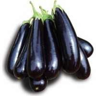 Баклажан Дарко F1,