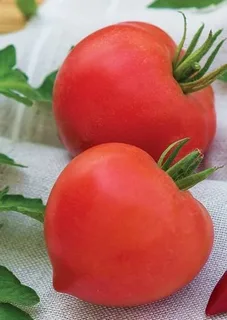 Томат Донской F1,