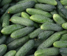 Огурец Арпачин F1, 100шт