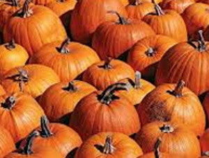 Тыква крупноплодная Карета для Золушки, 5гр (фасовка)