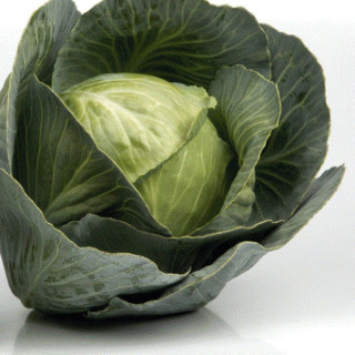 Капуста белокочанная CB 3404 F1,