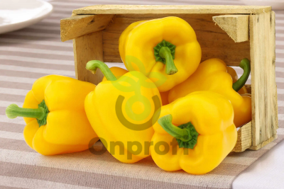 Перец Абей F1,