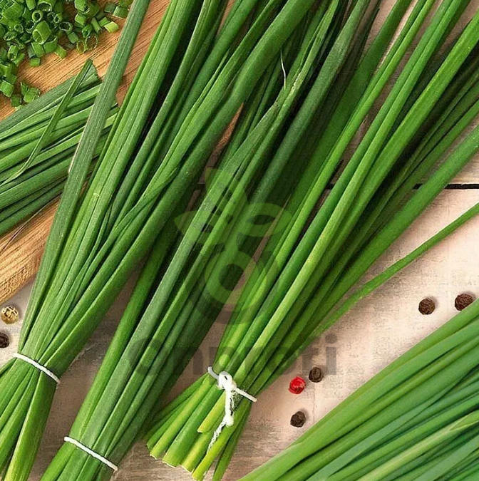 Лук шнитт Богемия, 0,5гр (фасовка)