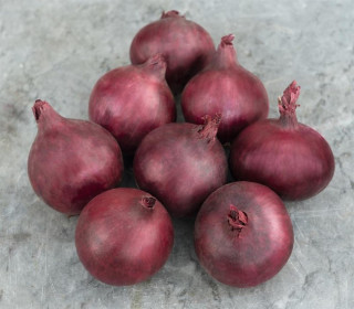 (м.ф.) Лук репчатый Ред барон 1г НК