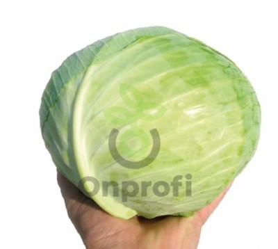 Капуста белокочанная Ферро F1,