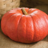Тыква крупноплодная Красный этамп, 5гр (фасовка)