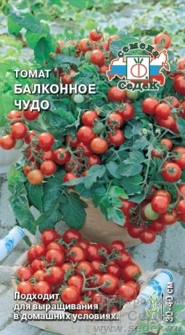 (м.ф.) Томат Балконное Чудо 0,2г Седек
