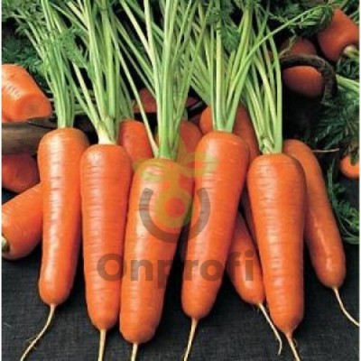 (м.ф.) Морковь Абако F1 0,5г Каприс