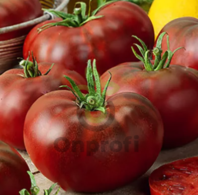 Томат Дикий Фред, 0,5гр (фасовка)