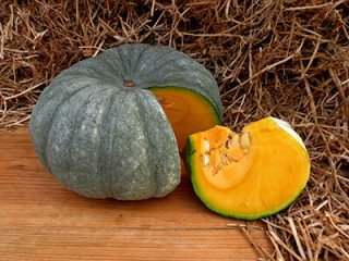 Тыква крупноплодная Мраморная, 5гр (фасовка)