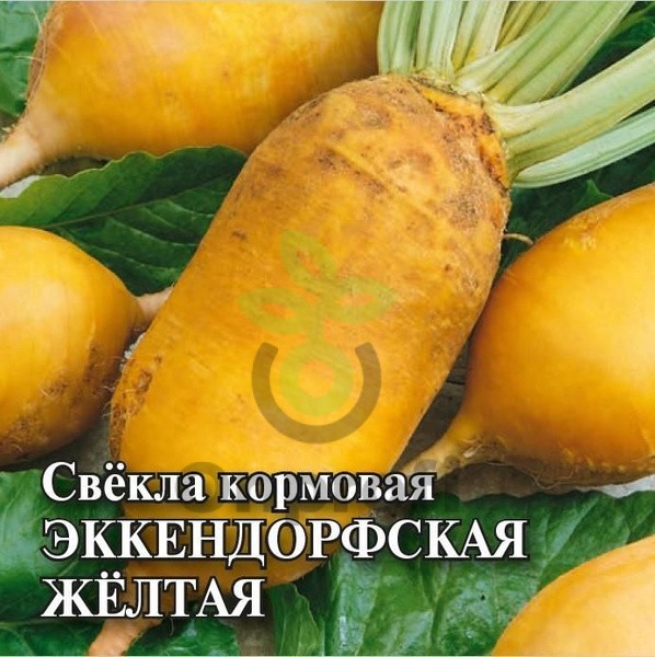 (м.ф) Свекла кормовая Эккендорфская желтая, 2гр 