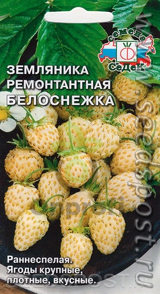 (м.ф.) Земляника Белоснежка, 0,04г