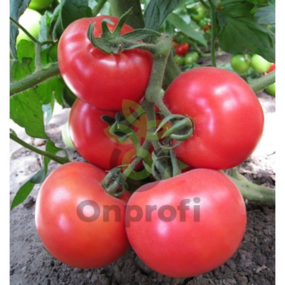 Томат Эсмира F1,