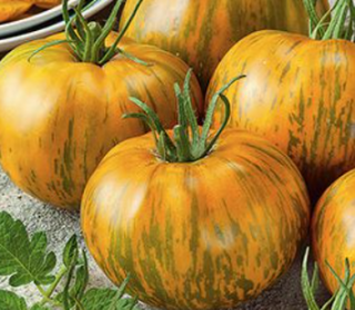 Томат Зебра желтая, 0,5гр (фасовка)