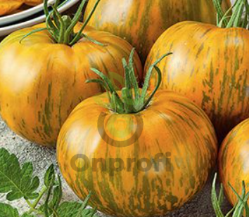 Томат Зебра желтая, 0,5гр (фасовка)