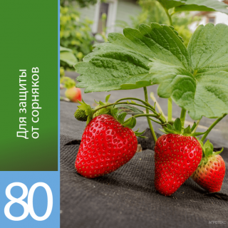 Агроволокно Агротекс Черный 80, (3,2м х 100м)