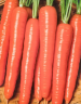 Морковь Карлена, 0,5гр (фасовка)
