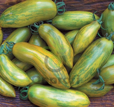 Томат Зеленая сосиска, 0,5гр (фасовка)