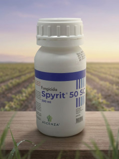 Фунгицид Spirit (Спирит),