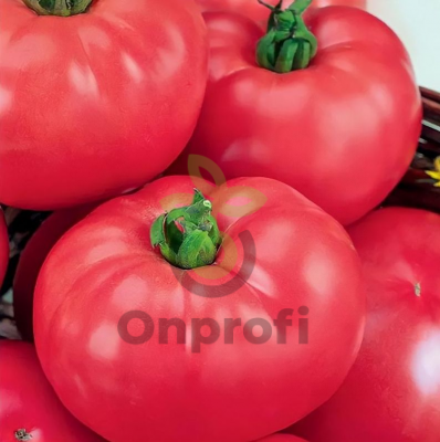 Томат Розовый гигант F1,