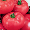 Томат Розовый гигант F1,