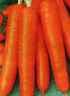 Морковь Лонге роте, 0,5гр (фасовка)