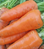 Морковь Московская зимняя А515, 0,5гр (фасовка)
