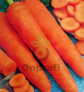 Морковь Роте Ризен, 0,5гр (фасовка)