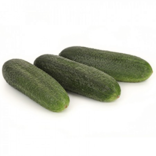 Огурец Маэстоза F1,