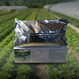 Фунгицид Антракол,