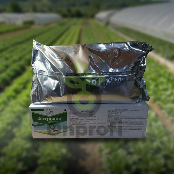 Фунгицид Антракол,