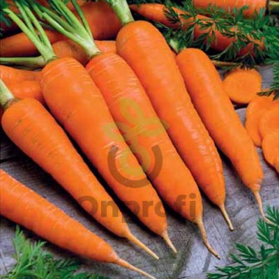 Морковь Королева осени, 10гр (фасовка)