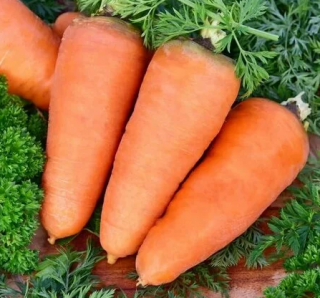 Морковь Шантенэ Роял, 0,5гр (фасовка)