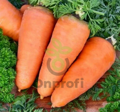 Морковь Шантенэ Роял, 0,5гр (фасовка)