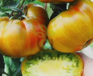 Томат Изумрудный город, 0,5гр (фасовка)