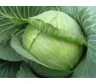 Капуста белокочанная Парадокс F1,