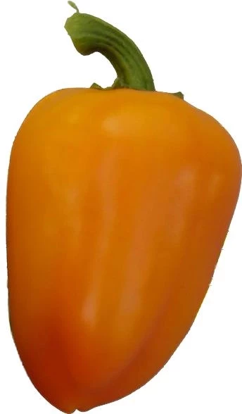 Перец Золотая Ласточка, 50гр