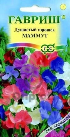 (м.ф.) Горошек Душистый Маммут смесь 0,5гр Гавриш