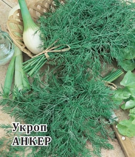 Укроп Анкер, 25 гр