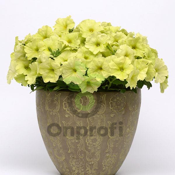 (п.ф.) Петуния Софистика Лайм Грин F1, 10 шт (№9-4-76) Гавриш