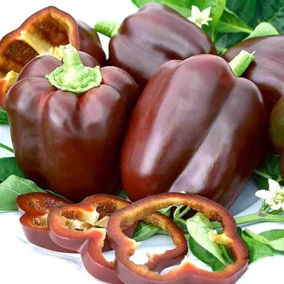 Перец Сладкий шоколад, 5гр (фасовка) 