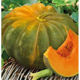 Тыква Мускатная Мускадэ Мини,