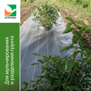 Геоткань Агротекс Черный 70, (1,6м х 25м)