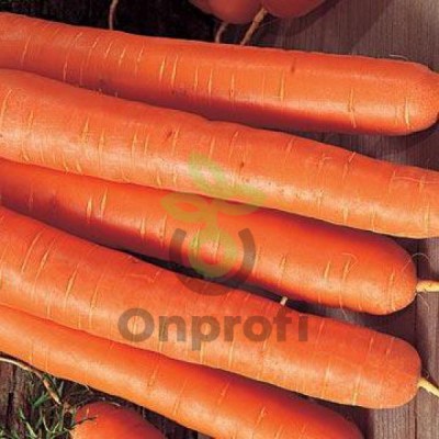 Морковь Форто, 25гр (фасовка) 