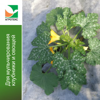 Агроволокно Агротекс Бело-Черный 80 двухслойный перфорированный, (1,6м х 20м)