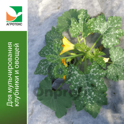 Агроволокно Агротекс Бело-Черный 80 двухслойный перфорированный, (1,6м х 20м)